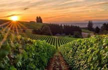 From Portland Private Willamette Valley Wine Tour
