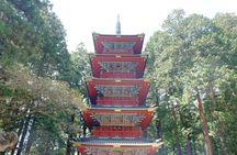 From Tokyo: Nikko Toshogu Shrine and Kegon Waterfall Tour
