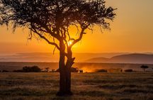 Overninght Tour to Masai Mara Reserve