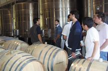 Full day tour in Maipu: Winery and Lunch Tour