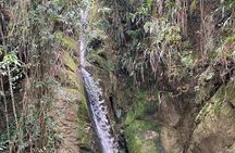 Hiking Mountains and Magical Forests