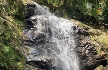 Hiking Mountains and Magical Forests