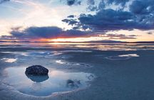 Yellowstone Grand Teton & Jackson Hole 5-day Fully Guided Tour 