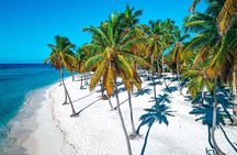 Eco Saona Island Excursion from Punta Cana