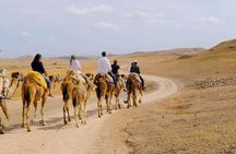 Agafay Desert Duo: E-Bike & Camel Adventure