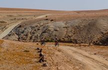 Agafay Desert Duo: E-Bike & Camel Adventure