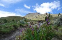 La Malinche Volcano Hike to the Top and Explore Tlaxcala