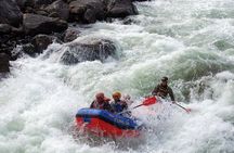 Wild Viking Rafting on Numedalslågen River - level 3