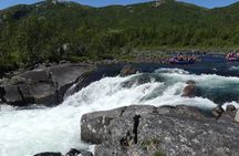 Wild Viking Rafting on Numedalslågen River - level 3