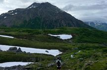 Mount Marathon Bowl Guided Hiking Tour