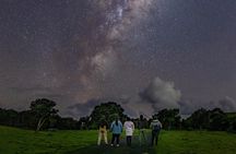 Nocturnal Wonders Tawharanui Kiwi Spotting and Stargazing Tour