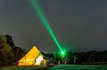 Nocturnal Wonders Tawharanui Kiwi Spotting and Stargazing Tour