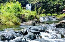 Halfway to Hana Private Tour Maui BlackBeach Waterfalls Turtles