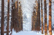 Eobi Ice Valley Nami Island and Alpaca World Tour from Seoul