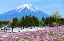 Mt. Fuji Day tour: Kawaguchi Lake Ropeway, Matcha, Oshino Hakkai 