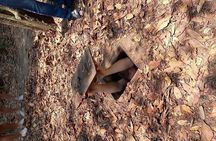 Private Cu Chi Tunnels Tour Half Day
