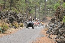 Forest Quad Trip in South Tenerife