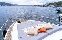 Istanbul Bosphorus MORNING or SUNSET Yacht Tour with Snacks