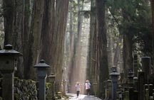 Private Day Trip to Mystic Koyasan for Purification