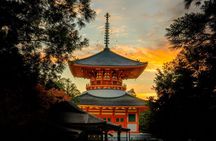 Private Day Trip to Mystic Koyasan for Purification