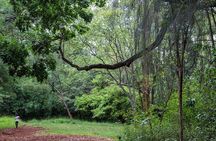 Day Tour to Nairobi Arboretum and Nairobi National Museum