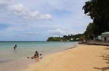 Dunn's River and Blue Hole Waterfall Combo from Montego Bay