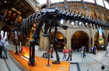 Natural History Museum Walking Guided Tour of London