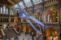 Natural History Museum Walking Guided Tour of London