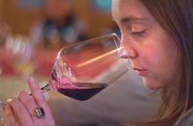 Wine Tasting near the Aquarium of Genoa