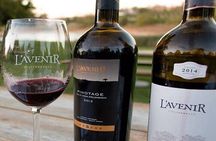 Wine Tasting Tour to Stellenbosch and Franschhoek from Cape Town