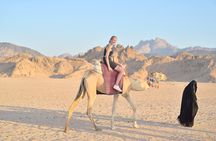 Safari 5-in-1 in Hurghada: Quad, Camel, Dinner, Show & Stargazing
