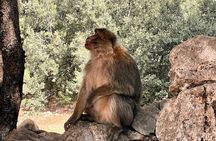4 Day Fez Middle Atlas Immerse Yourself in Nature and Culture