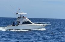 Private 38ft Fishing Charter in Tamarindo with Food and Drinks