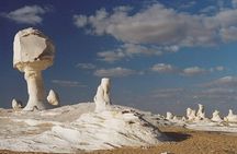 Overnight Tour: Bahariya Oasis & Desert from Cairo