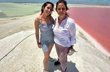 Las Coloradas, Río Lagartos and Playa Cancunito Tour from Mérida