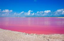 Las Coloradas, Río Lagartos and Playa Cancunito Tour from Mérida