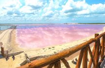Las Coloradas, Río Lagartos and Playa Cancunito Tour from Mérida
