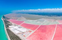 Las Coloradas, Río Lagartos and Playa Cancunito Tour from Mérida