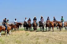 Horseback Ride in Montana's Ranch Country