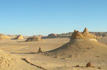 Guided tour to Valley Of The Whales From Cairo