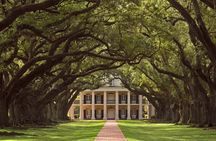 Oak Alley Plantation Half Day Tour