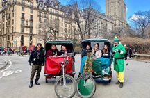 Elf and Home Alone 2 Movie Locations Tour in Central Park