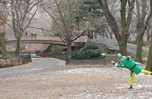 Elf and Home Alone 2 Movie Locations Tour in Central Park
