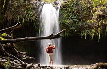 Small Group Waterfall and Rainforest Hiking Adventure on Maui