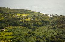 Ultimate Hana Full-Day Adventure Tour