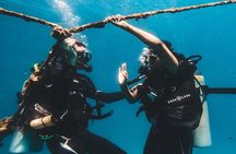 Two Introduction Dives for Beginners at Koh Kood or Koh Rang