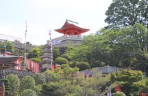 A Fun private Car Tour to Inuyama Castle.