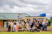 Private 2 Days Tarangire and Ngorongoro Crater from Zanzibar