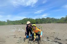 Floating & Railway Markets (Optional Mangrove Visit) Private Tour