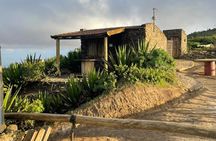 Tea House in Monte Verde